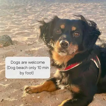 Apartamento La Cabanana - W Pool And High-speed Wifi