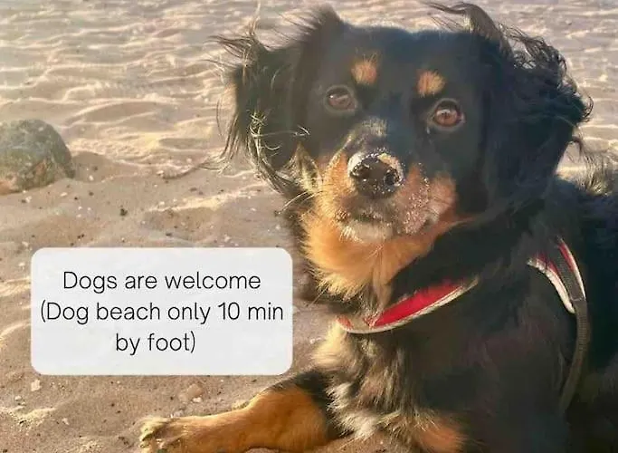 아파트 La Cabanana - W Pool And High-speed Wifi